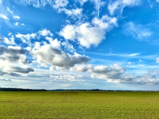 Champ très vert et ciel nuageux 