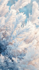 Macro Shot of Frozen evergreen conifer branches covered in delicate frost shimmer in soft winter light. A dreamy, atmospheric nature scene capturing the beauty of icy textures.Generative ai