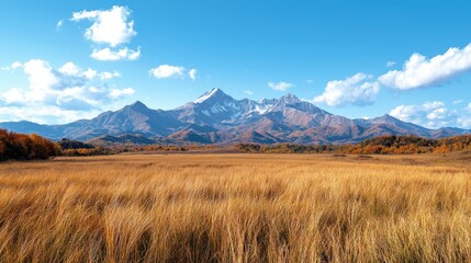 Obraz premium Autumnal mountain vista, golden meadow, clear sky