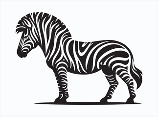 zebra