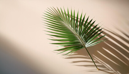 a unmarried palm leaf spreads its shadow on a bright pale heritage developing a peaceful minimalist scene reflecting the simplicity and elegance of natural elements