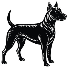 vector illustration of a dog