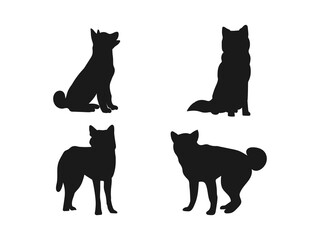 Akita silhouette, Hand Drawn silhouette illustration. A dog in different poses. Flat style dog logo collection. Vector illustration. Side and front view silhouettes are isolated on a white background.