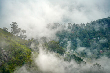 Misty rainclouds in the green valley of Ella Resort, Sri Lanka, Asia
