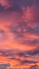 Cloudy pink sunset in the sky