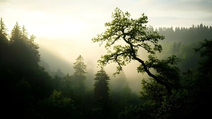 Obraz premium Pixelated Forest Sunrise View