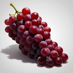 Grapes silhouette on white background