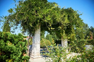 A rotunda for people to relax. It is braided by a weaving plant. Garden design