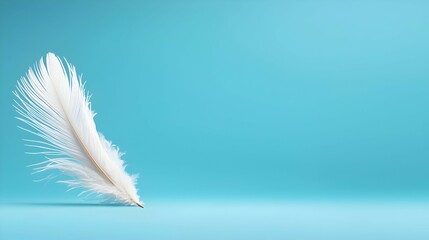 Naklejka premium White Feather Against Turquoise Background