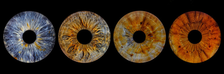 Close up of eye iris on black background, macro, photography	