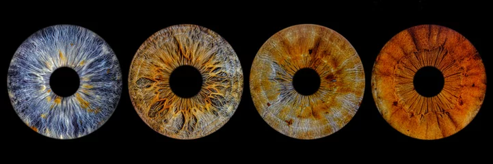 Selbstklebende Fototapeten Iris Close up of eye iris on black background, macro, photography   © recep