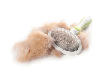 Grooming brush and pile of pet's hair isolated on white