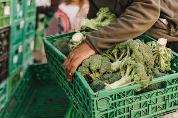 Close up of hands buying greens and vegetable on the local Farmers market. Customer Shopping At Farmers Market Stall. Part of the series
