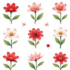  pattern of spring  pink flowers on a white background.