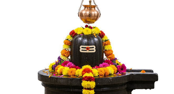 offering puja to Shivlinga or Shivlingam, Jalabhishek Rudrabhishek of Lord Shiva, with water, milk, Ganges water, Hindu religion festival maha shivratri concept, cutout in transparent background, png 