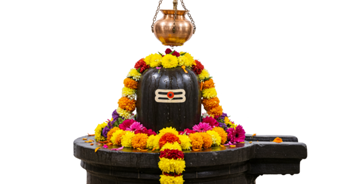 offering puja to Shivlinga or Shivlingam, Jalabhishek Rudrabhishek of Lord Shiva, with water, milk, Ganges water, Hindu religion festival maha shivratri concept, cutout in transparent background, png 