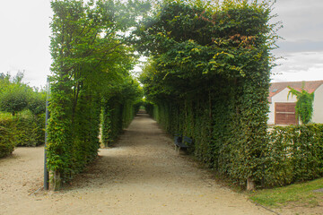 Arch of plants and greens and path in the park, Hermitage Garden, Bayreuth, Germany