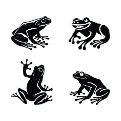 Frog Set Illustration Vector With White Background.