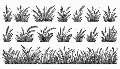 Grass doodle ink brush sketch set. Hand drawn vector grass field grunge texture brush background. Doodle herb, organic pattern elements. perfect any project.
