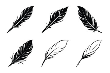 Elegant Feather Pen Set - Hand-Drawn Vintage Quill Ink Writing Illustrations for Calligraphy and Tattoo Art