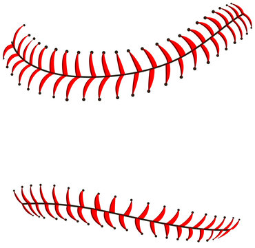 baseball stitches vector