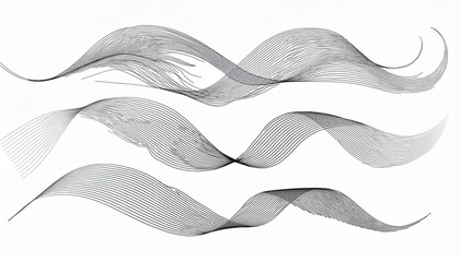 Fototapeta premium Swoosh, swash underline stroke set. Hand drawn swirl swoosh underline calligraphic element. perfect any project.