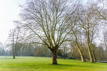 Velen im westlichen Münsterland