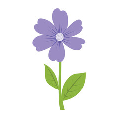 Purple flower with green leaves, vibrant and fresh. Perfect for nature backgrounds, garden designs, or botanical themed marketing materials