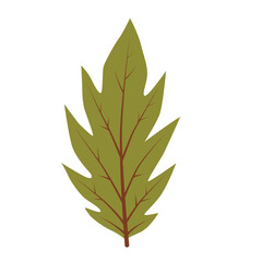 Stylized green leaf illustration. Suitable for nature, health, wellness concepts with vibrant colors. Ideal for botanical design elements, environmental themes, eco friendly brands, organic products