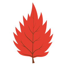 Red leaf with brown veins for autumn designs. Perfect for fall themed graphics, nature backgrounds, seasonal decorations, and botanical projects