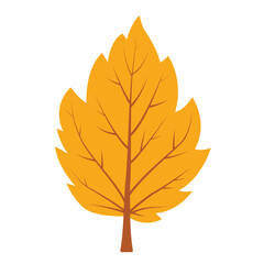Yellow leaf on a white background. Suitable for autumn themed designs, nature artwork, botanical illustrations, seasonal graphics, and eco friendly concepts
