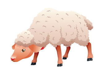Small cartoon sheep. Lamb flat vector illustration. Funny baby sheep with curly wool. Farm animal art isolated on white background