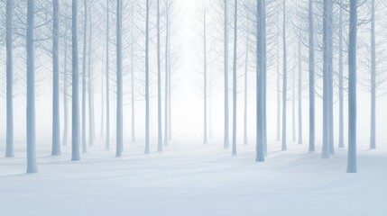 Fototapeta premium Snowy Forest Landscape with Tall Trees Surrounded by a Soft Blanket of White Snow and Misty Atmosphere