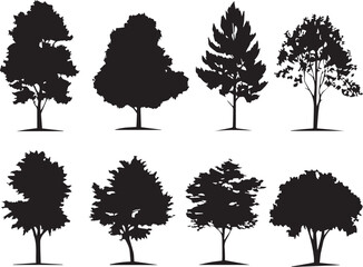 Big tree set isolated on white background