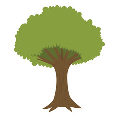 Tree with green leaves and a brown trunk, suitable for nature themed designs, environmental concepts, or general organic visuals. Forest, outdoors, ecology, natural