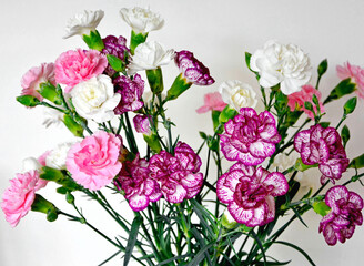 bukiet białych i różowych goździków gałązkowych, bouquet of white and pink carnations   © kateej