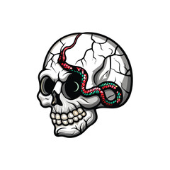 Illustrate a detailed, cracked human skull with a venomous snake meticulously crawling across its fractured surface.  Focus on texture and detail.