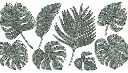 Fototapeta premium Outline tropic palm leaf set. One continuous line art tropic tree leaves. Editable stroke monstera, jungle foliage floral element. Isolated perfect any project.