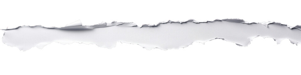 Torn Paper Edge: A close-up image of a torn paper edge, showcasing the raw, textured detail and the subtle variations in shade that create a sense of depth and realism.