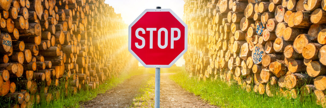 Vor einem Lagerplatz von Baumst&auml;mmen f&uuml;r die Holzwirtschaft steht ein Stop-Schild im Gegenlicht - FOTOMONTAGE