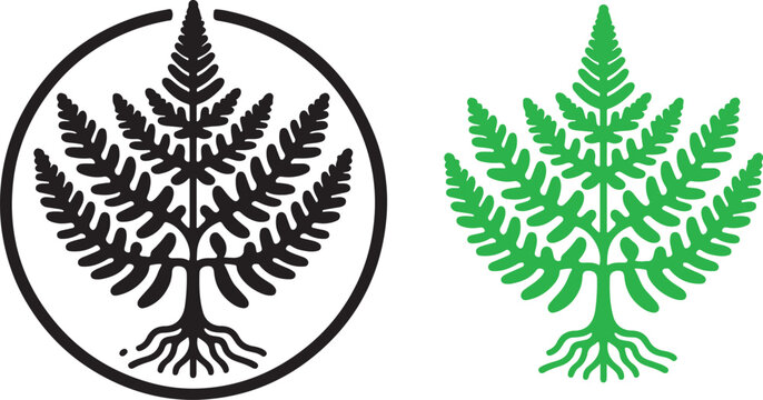 isolated Lygodium japonicum  fern icon Vector, Lygodium japonicum  fern icon Silhouette,Lygodium japonicum  fern icon   set, black Lygodium japonicum  fern symbol for logo,color Lygodium japonicum  fe