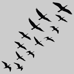 a flock of birds flying in formation. silhouette vector design art and illustration