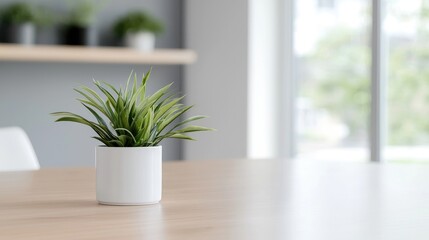 Fototapeta premium Modern interior, plant on table, blurred background, office, home, calm atmosphere