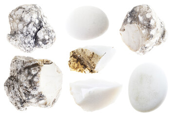 natural specimens of uncut cacholong rocks cutout