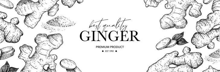 Ginger root vector label. Root, ginger pieces and powder vector drawing. Engraved style illustration. 