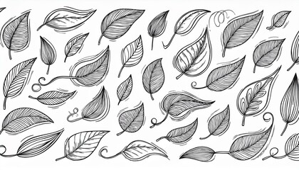 Leaf wind doodle line sketch set. Hand drawn doodle wind motion, air blow, leaf falling elements. Sketch drawn air weather, autumn falling concept. Isolated perfect any project.