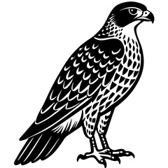 Hawk perched with a talon silhouette vector illustration 