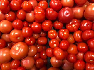 Ripe and delicious red tomatoes in the box. Harvesting tomatoes on the farm.