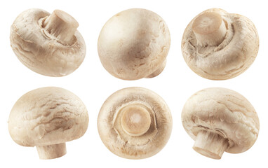 Champignons isolated set. Collection of mushrooms on a transparent background, in different angles.