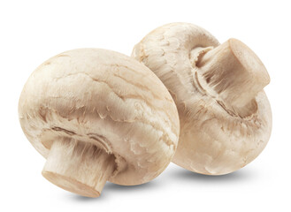 Champignon mushrooms isolated on transparent background.